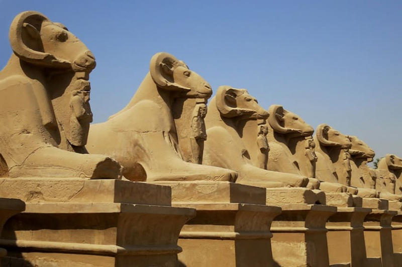 Rating of tour operators in Egypt for 2022